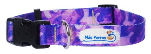 Collar Dalco Colección para perros Más Perros diseño Purple Sensations