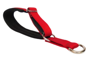 Collar Semi Fijo Acolchado para perros Más Perros