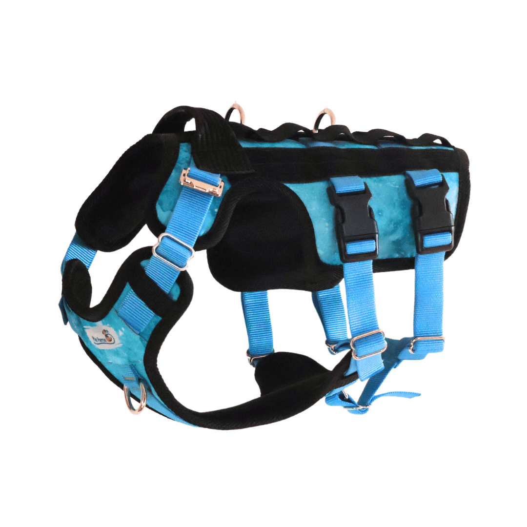 Arnés FORCE "Anti Escape" | Turquoise
