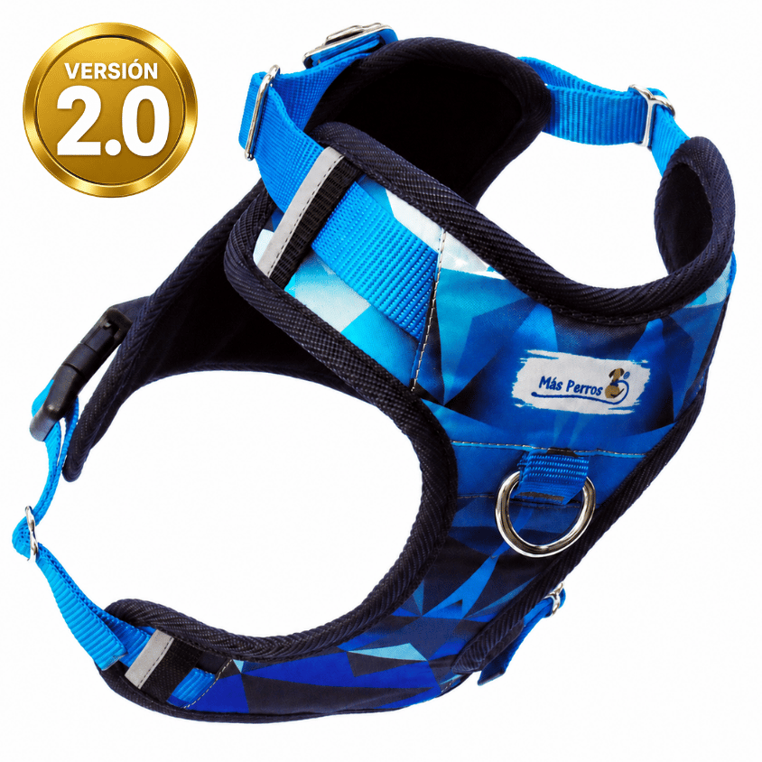 Arnés "Anti Tirones" Walk Training | Blue Prism